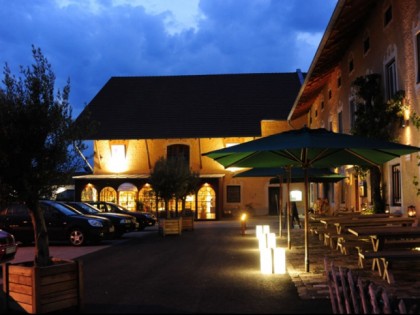 照片: LandWirtschaft im Gut Staudham